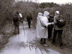 Soisy sur Seine-Forêt de Sénart par Jacques