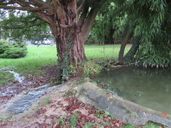 Soisy sur Seine-Forêt de Sénart par Jacques