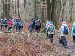 Soisy sur Seine-Forêt de Sénart par Jacques