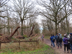 Soisy sur Seine-Forêt de Sénart par Jacques