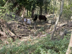 Sur le parc avec la classe de l'école du Centre
