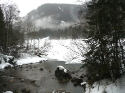 Séjour raquettes à Bellevaux par Catherine 6 Février
