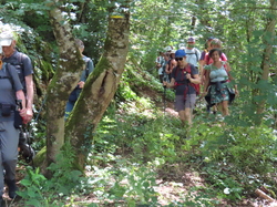 Séjour à Najac:autour de Villeneuve d'Aveyron