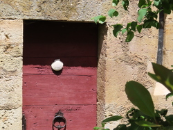 Séjour à Najac:autour de Villeneuve d'Aveyron