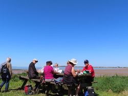 Séjour à Ronce les Bains: randonnée à Talmont sur Gironde par Jacques