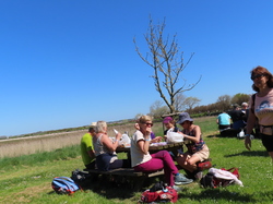 Séjour à Ronce les Bains: randonnée à Talmont sur Gironde par Jacques
