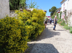 Séjour à Ronce les Bains: randonnée à Talmont sur Gironde par Jacques