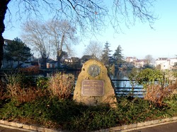 Tonique à Livry par Christian