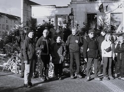 Tonique en forêt de Bondy par Jacques