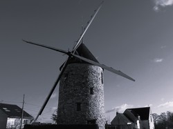 Tonique en forêt de Bondy par Jacques