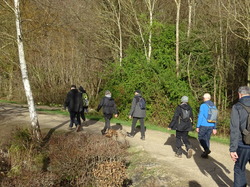 Tonique en forêt de Bondy par Jacques