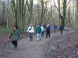 Tonique en forêt de Bondy par Jacques
