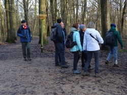 Tonique en forêt de Bondy par Jacques