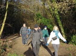 Tonique en forêt de Bondy par Jacques