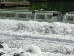 Tonique Noisiel par Jacques