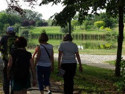 Tonique Noisiel par Jacques