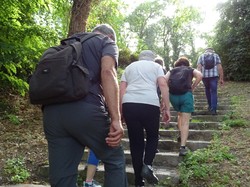 Tonique Noisiel par Jacques