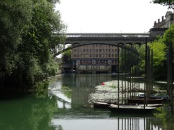 Tonique Noisiel par Jacques