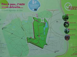 Tonique Noisy - Emerainville