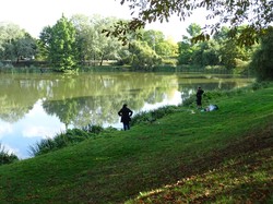 Tonique Noisy - Emerainville