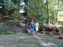 Tonique Noisy - Emerainville