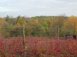 Tonique Parc du Sausset par Jacques