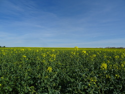Tonique Vieux Fosses par Jacques