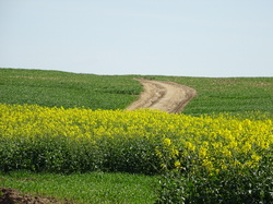 Tonique Vieux Fosses par Jacques