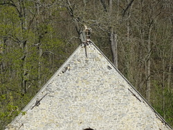 Tonique Vieux Fosses par Jacques