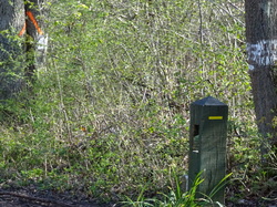 Tonique Vieux Fosses par Jacques