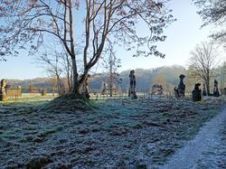 Tonique à Pomponne par JAcques