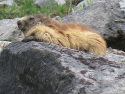 Tour des glaciers de la Vanoise étape 6 par Serge