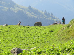 Tour des Glaciers de la Vanoise étape 3 par Serge