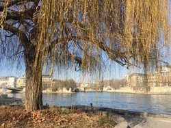 Traversée de Paris par Sylvie