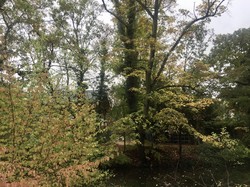 Val de Fontenay-Vincennes par Sylvie