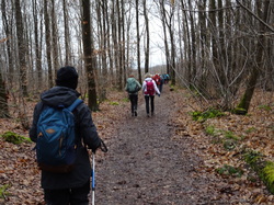 Vaucresson - Saint-Germain en Laye
