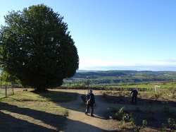 Vezelay, Saint Père et la vallée de la Cure