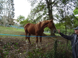 Vezelay, Saint Père et la vallée de la Cure
