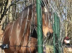 Villepinte de parc en parc par Sylvie