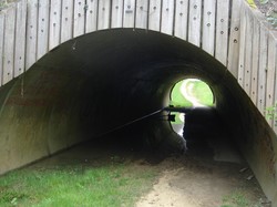 Villers-Cotteret par Jacques