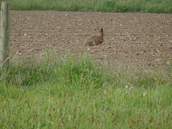 WE à Calais par Jacques