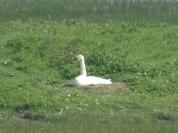 WE à Calais par Jacques