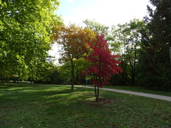 WE en Champagne par Jacques