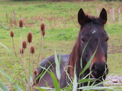 WE à Noyon 1er jour par Jacques