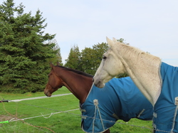 WE à Noyon: 2ème jour par Jacques