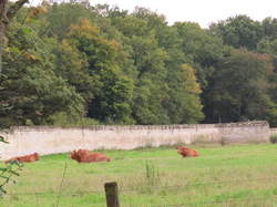WE à Noyon: 2ème jour par Jacques