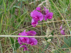 Week-end au Havre par Christine