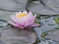 Week-end au Havre par Christine