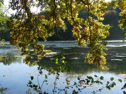 Week-End Orléans par Catherine