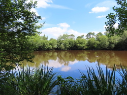 Île Tudy par Jacques